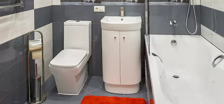 Hansgrohe Shaving Mirror Brockton